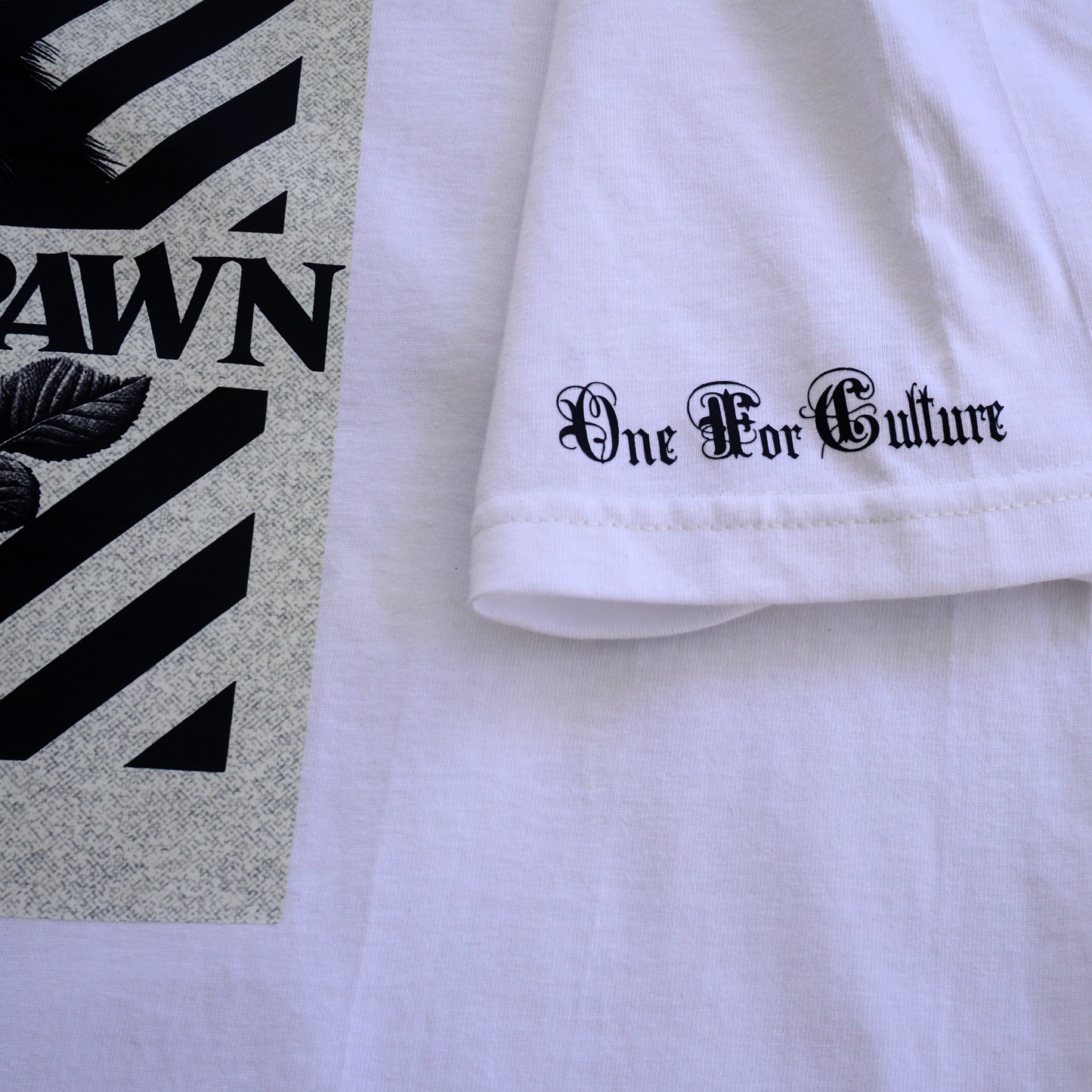 King Not Pawn T-Shirt - Lion & Rose Reign