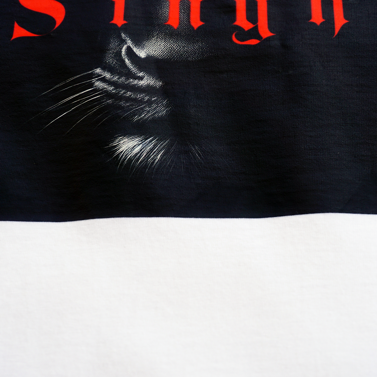 Uncage Singh Strength: Punjabi Warrior Tee